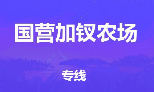 大亚湾区到国营加钗农场物流专线-大亚湾区至国营加钗农场专线让你轻松搞定物流难题